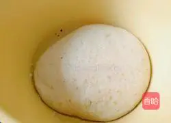 Whole wheat flower bread recipe 3