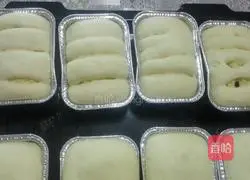 Cheese Sandwich Bread Recipe Illustration 14