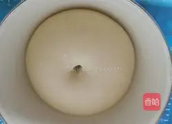 Illustration of how to make hot dog buns 6