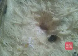 Illustration of how to make Cuckoo Hof Bread 9