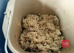 Illustration of homemade meat floss 9