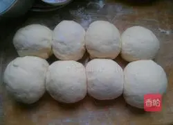 Hazelnut butter sandwich bread recipe 5