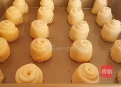 Honey bread recipe 10