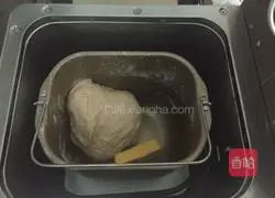 Whole wheat bread recipe 4