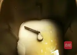 Caterpillar bread recipe 1