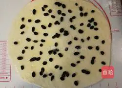 Illustration of how to make raisin bread rolls 3