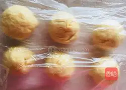 Coconut Cranberry Bread (Hand Kneaded Dough) Recipe Illustration 5