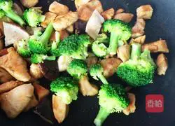 Illustrations of what I have done in the world at hand 5