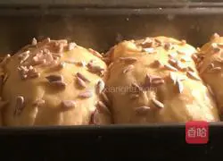 French pumpkin bread recipe 4