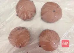 Chocolate Banana Cheese Bread Recipe Illustration 3