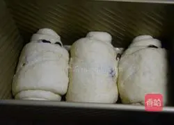 Illustration of how to make oat bread 12