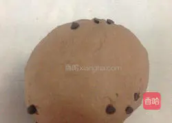 Chocolate Banana Cheese Bread Recipe Illustration 2