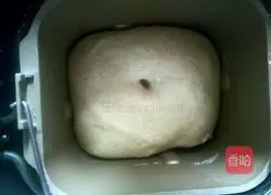 Illustration of how to make coconut raisin soaked whole wheat bread 4