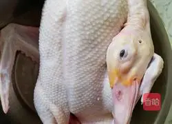 Jinling salted duck recipe 1