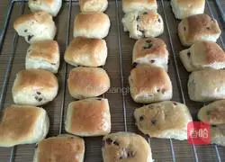 Cranberry Bun Recipe Illustration 21