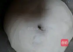 Illustration of how to make nut bread 8