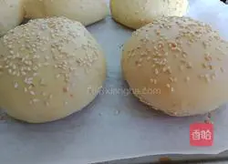 Chicken Steak Burger Recipe Illustration 4