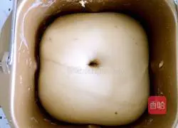 Corn cheese salty bread recipe 5