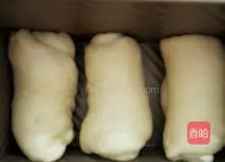 Milk Toast Bread Recipe Illustration 4