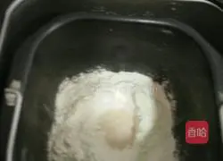 Illustration of how to make bear bread 4