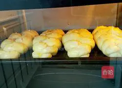 Whole wheat braided bread recipe 13