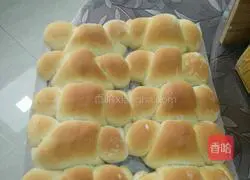 Honey bean croissant recipe 17