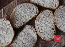 Illustration of how to make country European buns without kneading 21