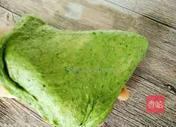 Spinach Illustration of making toast bread 3