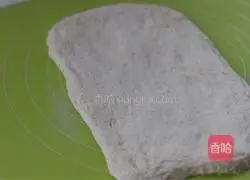 Illustration of making no-knead country European buns 6