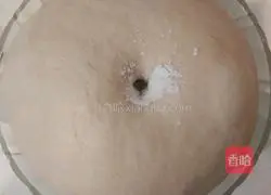 Whole wheat bread recipe 3