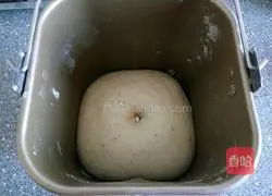 Illustration of how to make baguette whole wheat bread 6