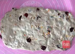 Illustration of walnut and cranberry soft European buns (medium seeding method) 10