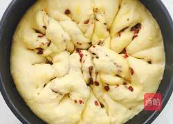 Cranberry Bread (Hand Kneaded Dough) Recipe Illustration 7