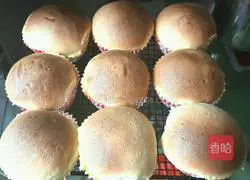 Mexican Raisin Bread Recipe Illustration 19