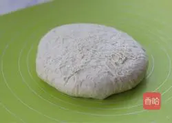 Illustration of making no-knead country European buns 5