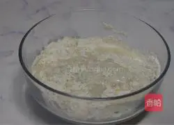 Illustration of how to make country European buns without kneading 2