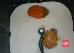 Illustration of how to make bread or hamburger buns 2