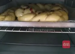 Corn Oil Wreath Bread Recipe Illustration 15