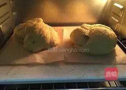 Illustration of how to make raisin and coconut bread 12