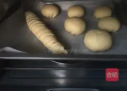 Bean Paste Bread Illustration of practice 14