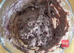 Michelle cocoa bread (no kneading) recipe illustration 3