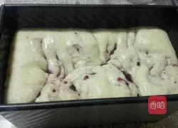 Coconut Cranberry Bread Recipe Illustration 12