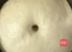 Illustration of how to make cheese and meat floss bread 4