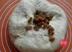 Whole wheat raisin bread recipe 4