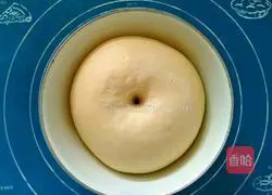 Illustration of how to make yogurt cranberry shredded bags 4