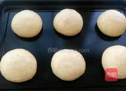 Whole wheat coconut meal bag recipe 5