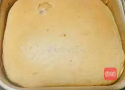 Yoghurt bread (bread machine version) recipe 4