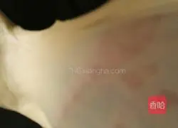 Honey bread recipe 3