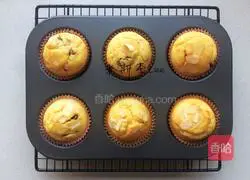 Vanilla Cranberry Muffin (Traditional Method) Recipe 14