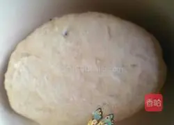 Coconut Bread Recipe Illustration 2 